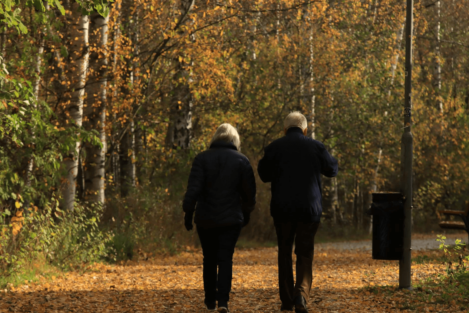 Couple walking hand in hand through golden autumn leaves at sunset