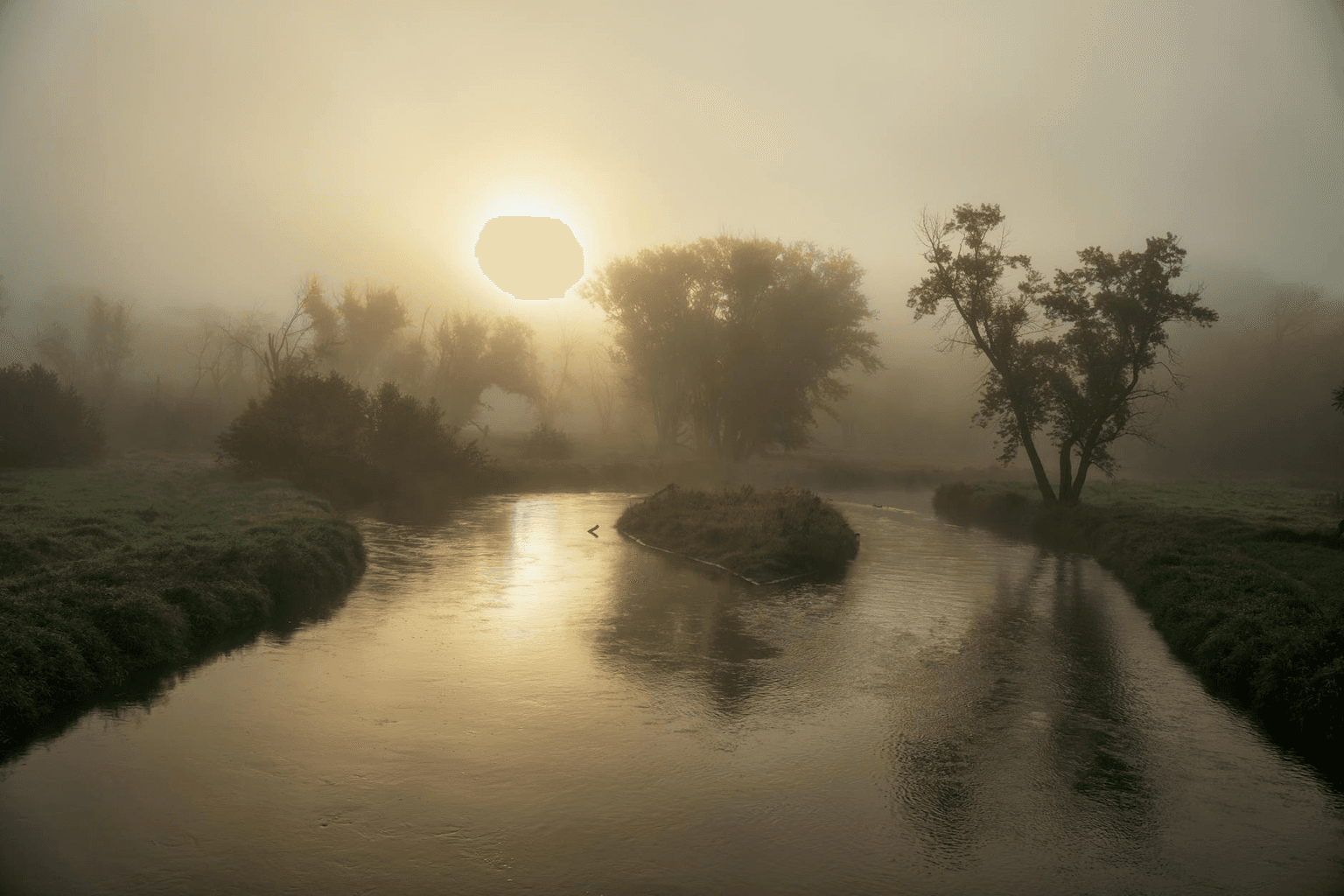 Steady river flowing through a forest at dawn, representing consistent daily practice and the power of persistence