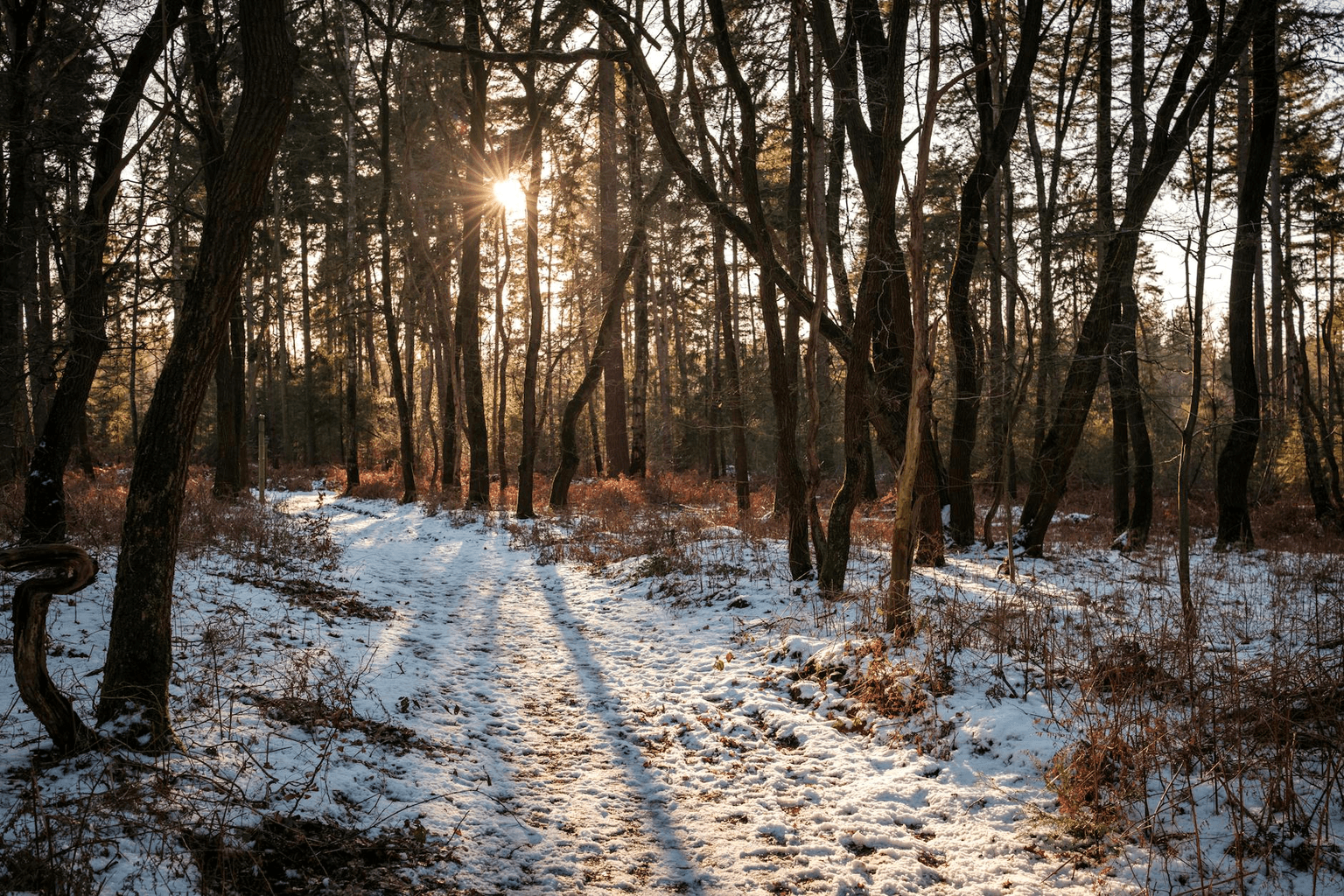 Person walking through a doorway of golden light into a beautiful new landscape, representing life transformation