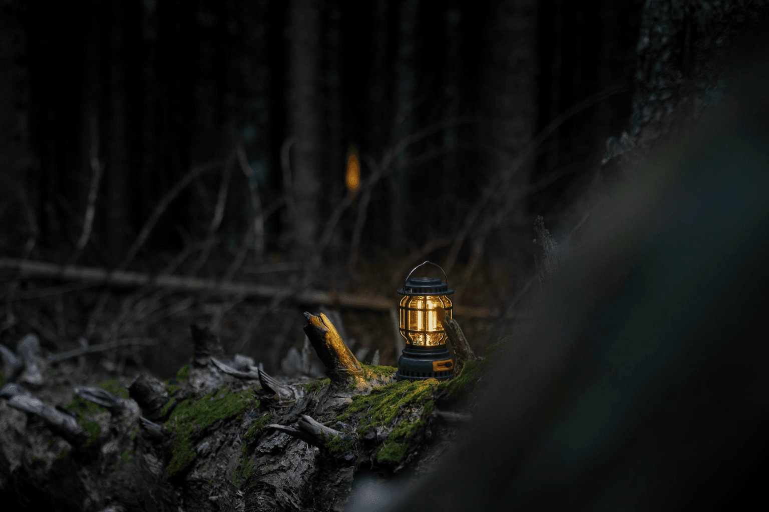 Person holding a lantern illuminating their own shadow in a dark misty forest representing shadow integration